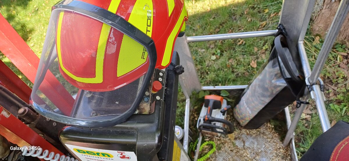 Professionelle Baumpflege mit Klettertechnik